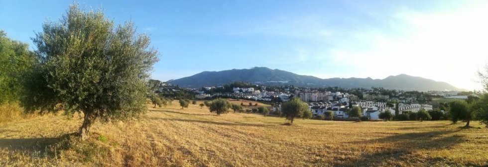Desbroce de parcelas en Mijas