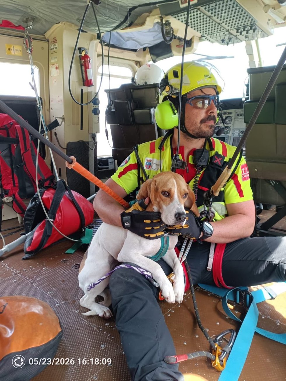 El helicóptero rescata a una perra enriscada en una canal de Picos de Europa