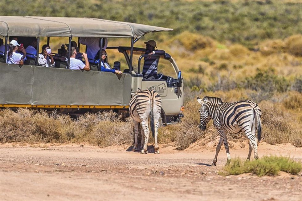Archivo - Turistas en el Parque Nacional Kruger de Sudáfrica