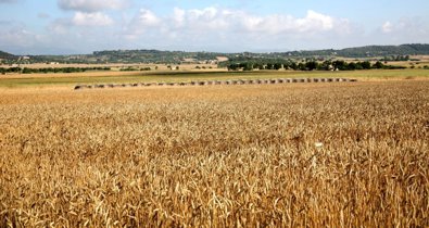 Castilla y León
