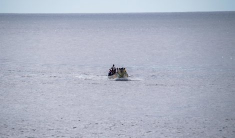 Migración