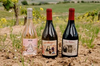 Nuevos vinos de Cepa 21
