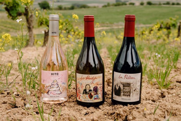 Nuevos vinos de Cepa 21