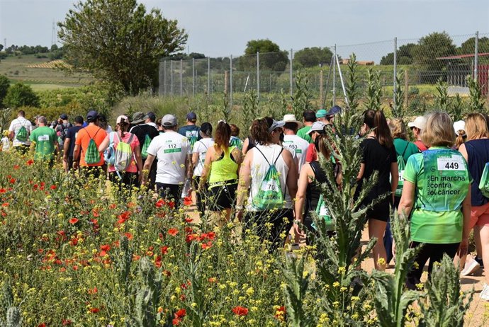 La V Marcha Contra el Cáncer de Cigales reúne a cerca de 500 participantes