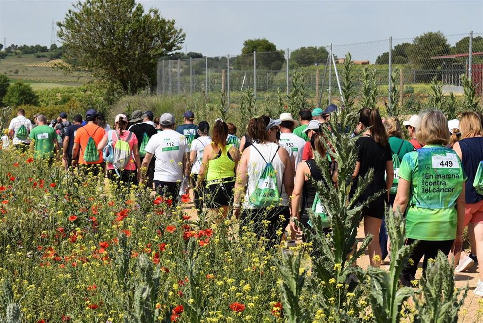 La V Marcha Contra el Cáncer de Cigales reúne a cerca de 500 participantes