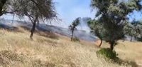 Declarado un incendio forestal en Andújar (Jaén) que moviliza a un helicóptero