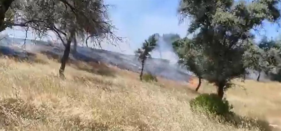 Imagen de fuegos en el incendio forestal declarado este domingo, 24 de mayo en Andújar (Jaén).
