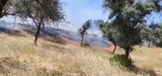 Imagen de fuegos en el incendio forestal declarado este domingo, 24 de mayo en Andújar (Jaén).