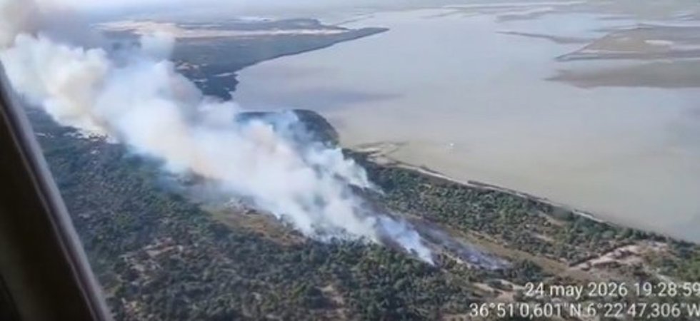 Incendio en el paraje de La Algaida de Almonte (Huelva)