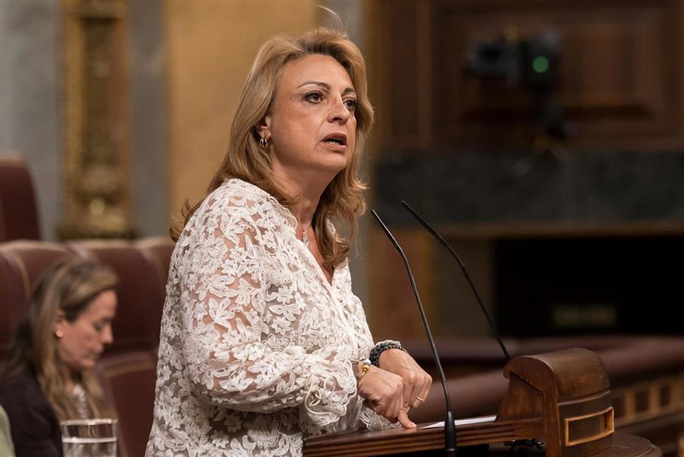 La diputada de Coalición Canaria Cristina Valido interviene durante una sesión plenaria en el Congreso de los Diputados, a 19 de mayo de 2026, en Madrid (España). El Pleno del Congreso debate hoy dos proposiciones de ley sobre ocupación ilegal y reforma e