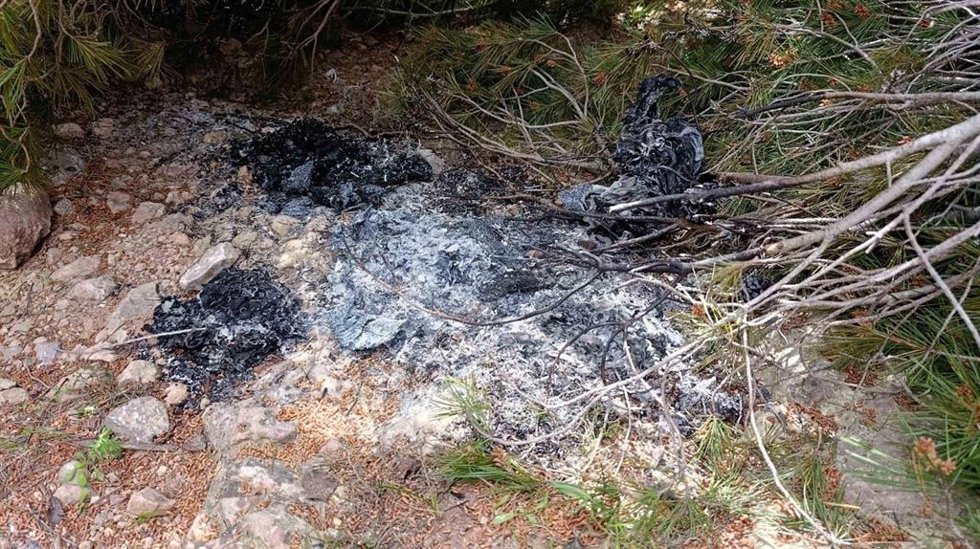 Uno de los focos de los incendios provocados