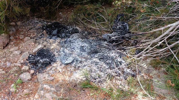 Uno de los focos de los incendios provocados