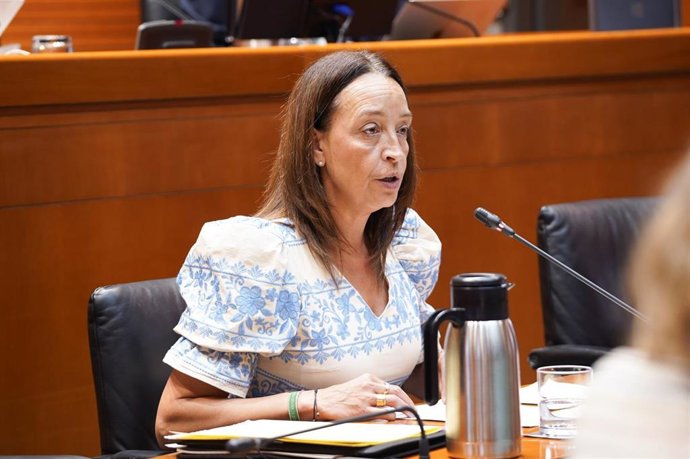 La consejera de Educación, Ciencia y Universidades, Carmen Susín, en comparecencia en las Cortes de Aragón.