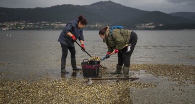 Pesca Galicia