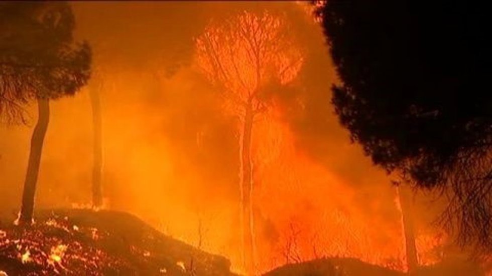 Incendio en Doñana, en Almonte (Huelva).