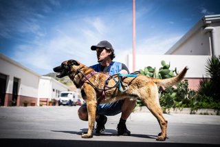 El Ayuntamiento potencia la atención de animales acogidos en el CEPAM con nuevas instalaciones y más servicios
