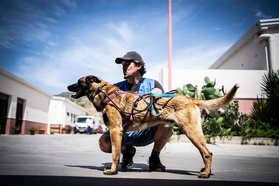 El Ayuntamiento potencia la atención de animales acogidos en el CEPAM con nuevas instalaciones y más servicios