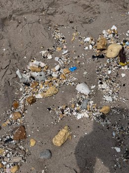 PSPV denuncia abandó de platges de València