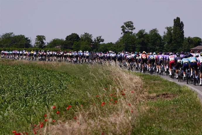 El pelotón, durante el Giro de Italia 2026.