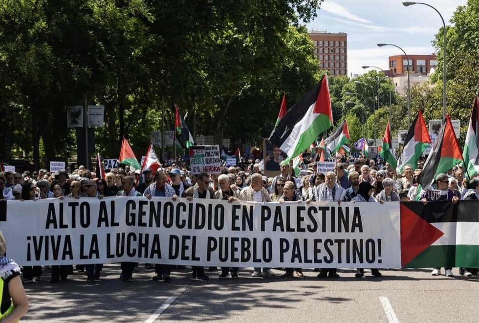 Activistas de la Red Solidaria contra la Ocupación de Palestina (RESCOP) se manifiestan en el Congreso