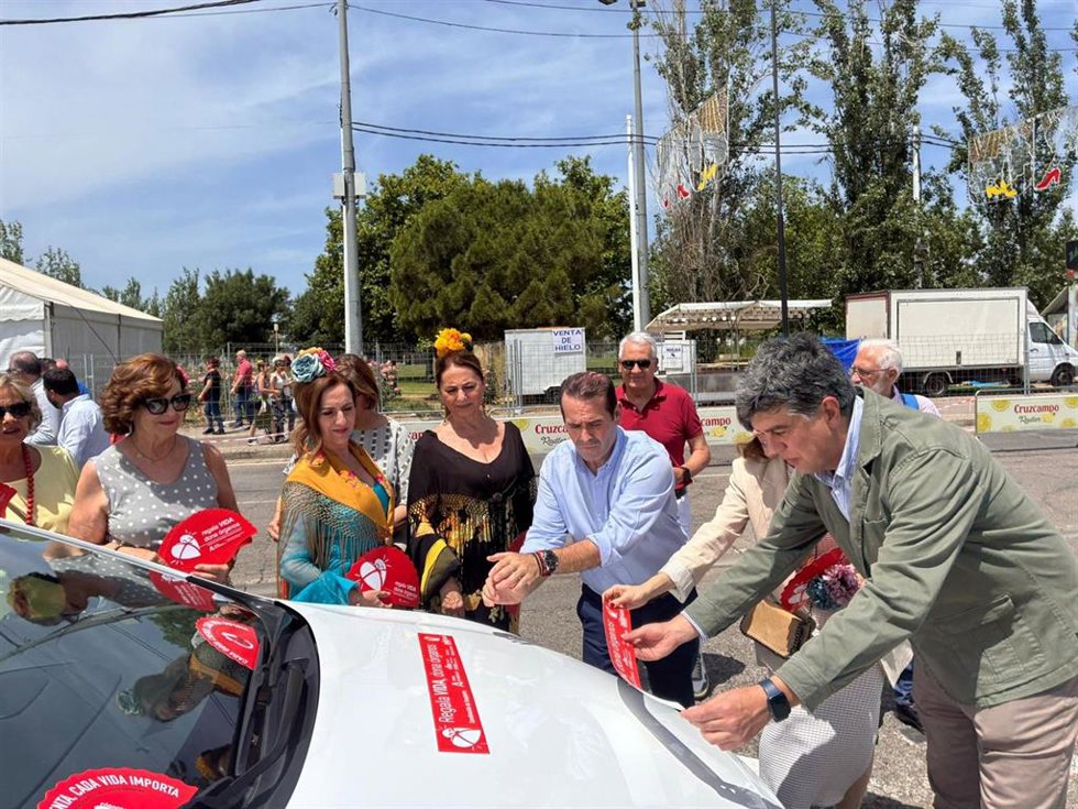Los taxis lucen mensajes de promoción de la donación de órganos durante la Feria de Córdoba.