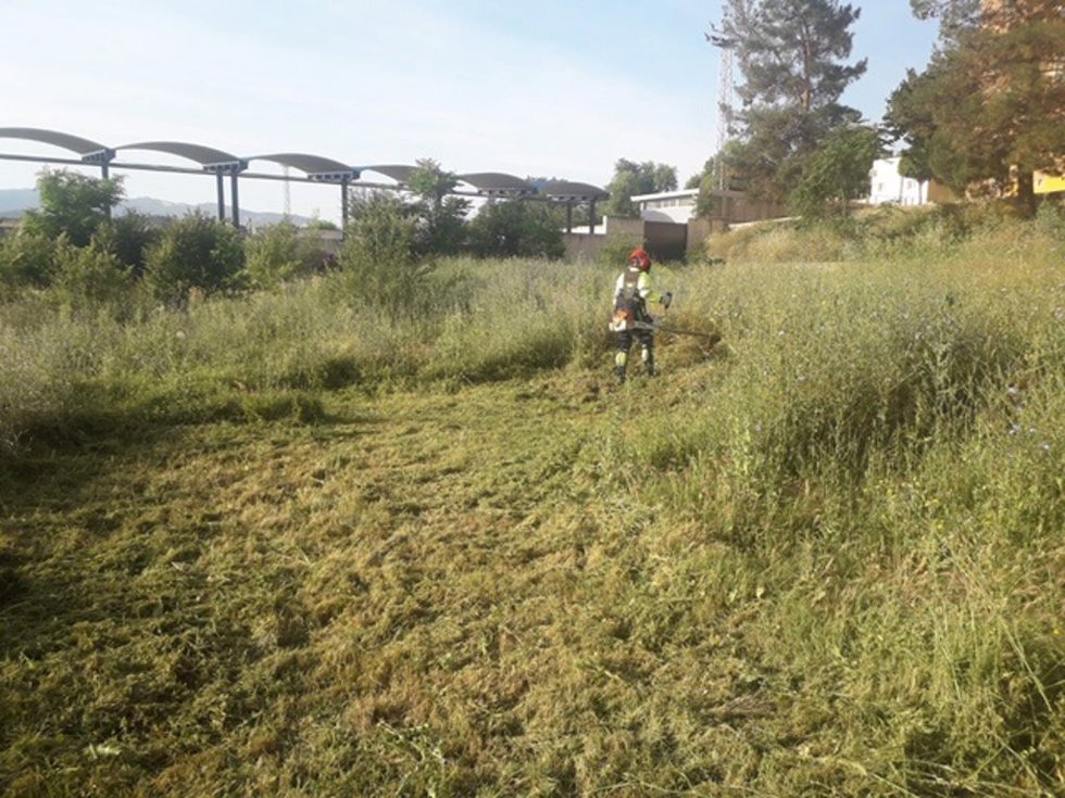 Archivo - Tareas de limpieza en un solar municipal.