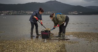Pesca Galicia