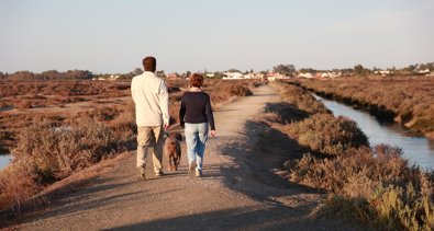 Cádiz al día