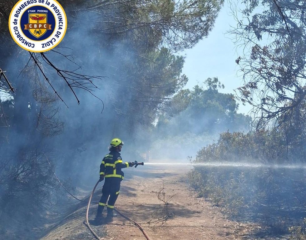 Incendio en la cuneta de la Ap-4 en Puerto Real