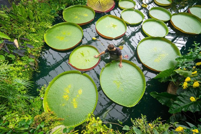 Archivo - Real Jardín Botánico de Kew, a 15 de septiembre de 2021. 
