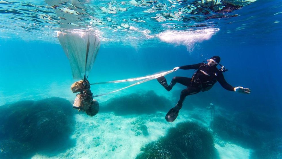 Buzo extrayendo residuos del lecho marino.