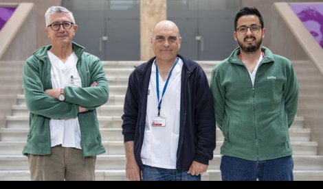 Investigación