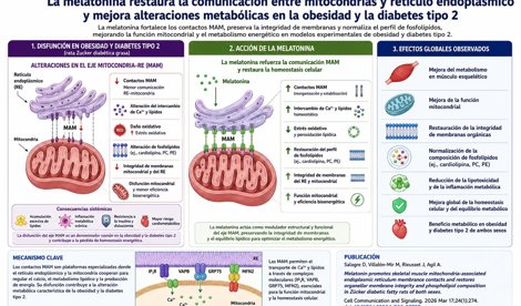 Investigación