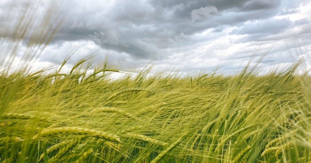 EpAgro - Agricultura