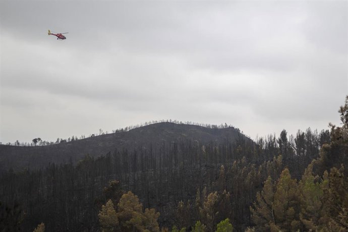 Archivo - Un helicóptero en una zona afectada por el incendio, a 9 de julio de 2025, en Xerta (Tarragona)
