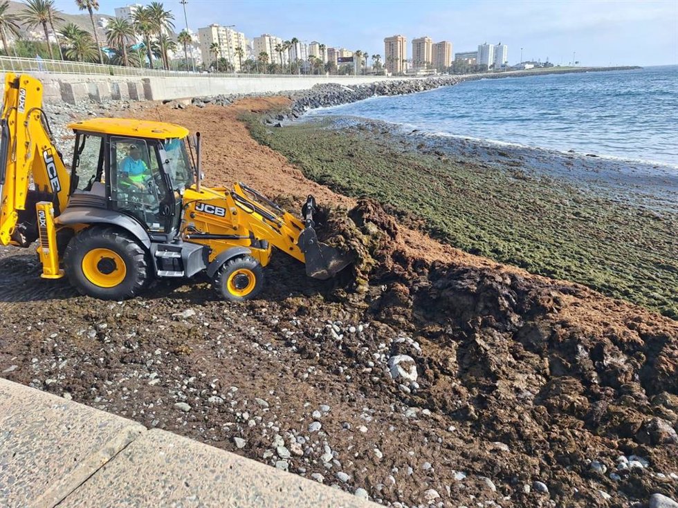 Retirada de algas en la zona de San Cristóbal de Las Palmas de Gran Canaria