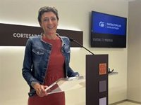 Marín (PP) afea el silencio del PSOE Aragón ante los "escándalos de corrupción" y exige explicaciones a Pilar Alegría