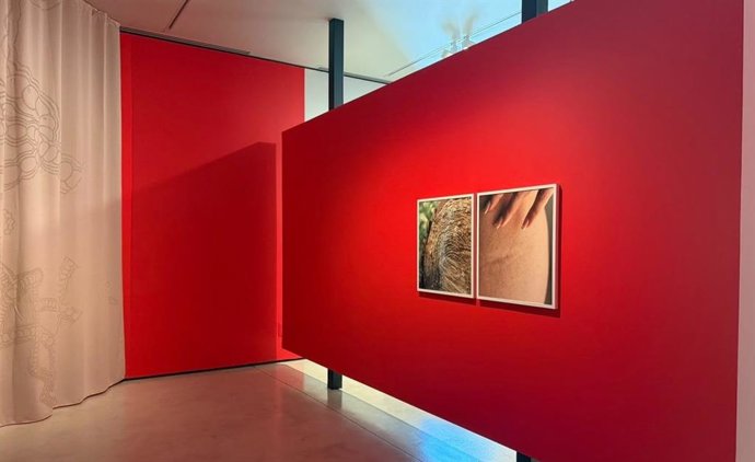 Imagen de la exposición 'Assenyala un punt' de Lúa Coderch