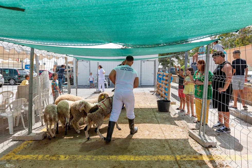 Archivo - Celebración del Eid al-Adha, la Pascua del Cordero, en Ceuta.  