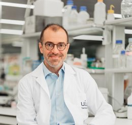 Investigación