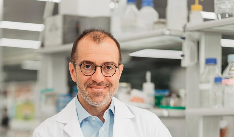 Investigación