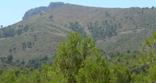 C. Valenciana