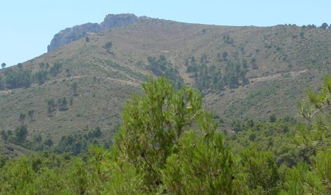 C. Valenciana