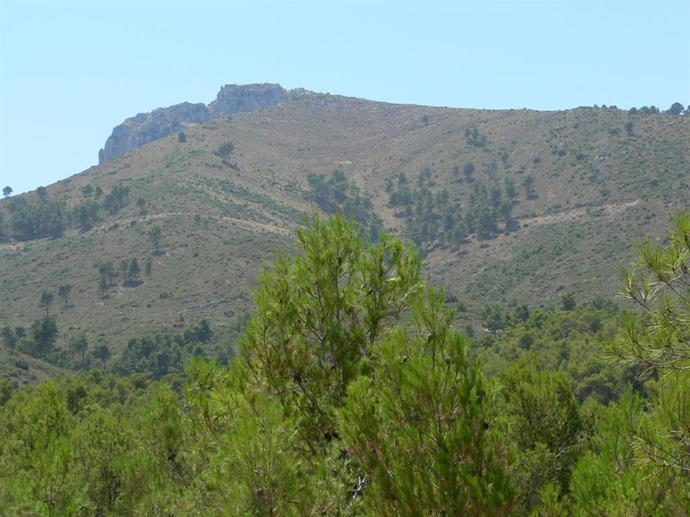 Imagen de archivo