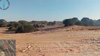 Cien bomberos forestales trabajan en Doñana para la extinción del incendio tras su estabilización