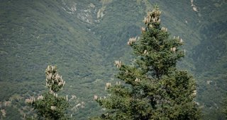 Andalucía Verde