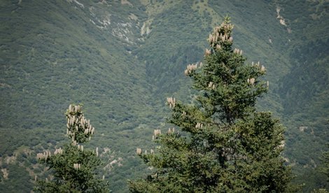 Andalucía Verde