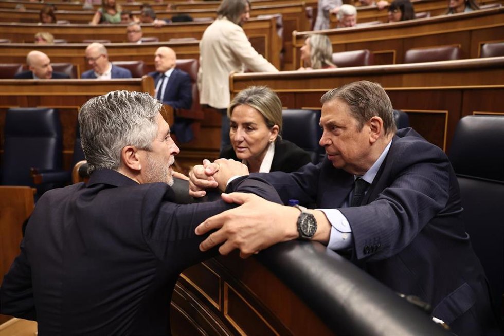 (I-D) El ministro del Interior, Francisco Grande-Marlaska; la ministra de Educación, Formación Profesional y Deportes, Milagros Tolón; y el Ministro de Agricultura, Pesca y Alimentación, Luis Planas; a su llegada a una sesión plenaria en el Congreso de lo