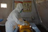 Foto: El ECDC intensifica su apoyo a RDC y Uganda por el brote de ébola, aunque mantiene un riesgo "muy bajo" para Europa