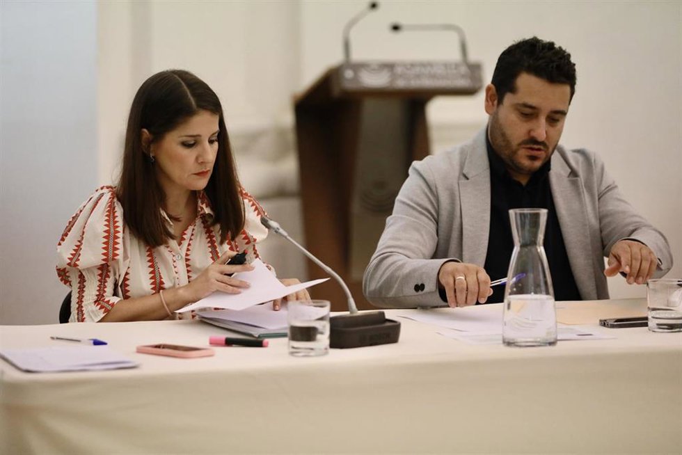 Los diputados socialistas Isabel Gil Rosiña y Julio César Rodríguez González en comisión en la Asamblea